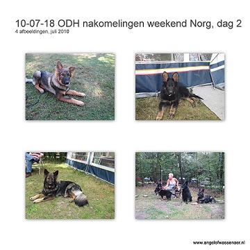 Op de camping, weekendje Norg met nakomelingen